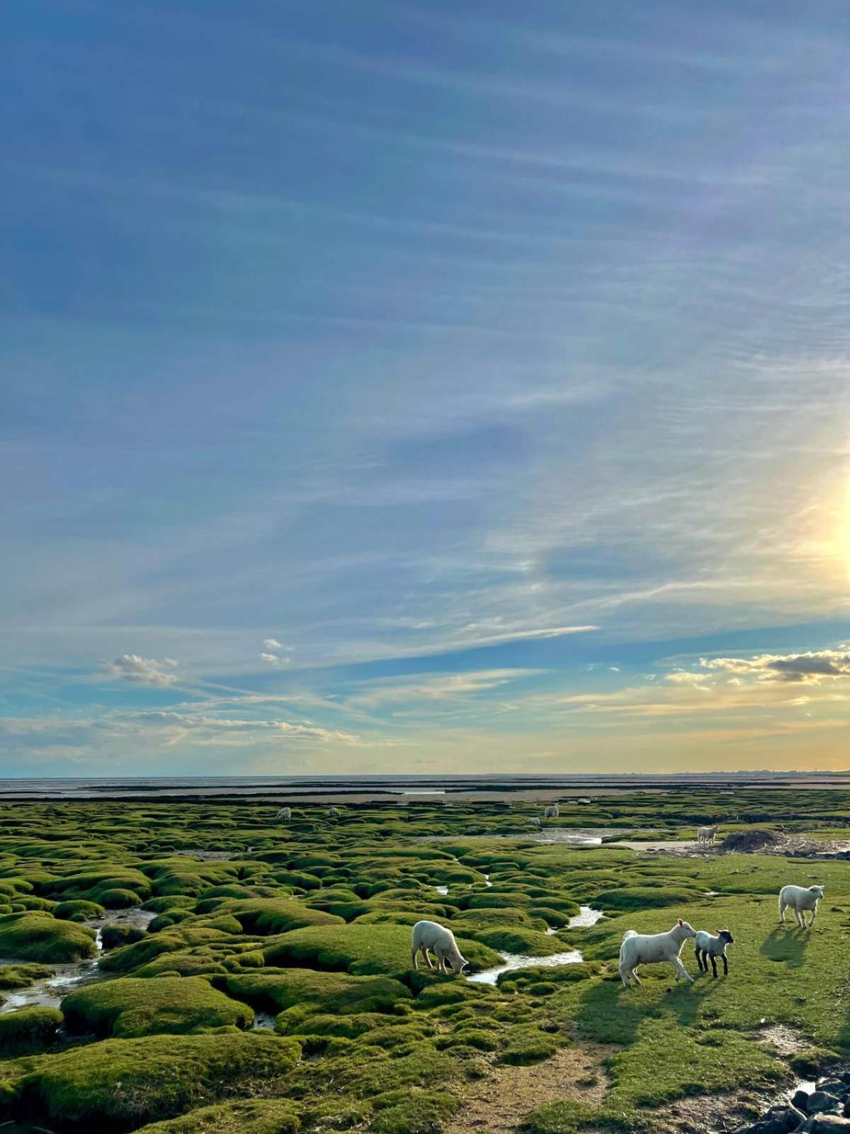 Fernsicht Sankt Peter-Ording